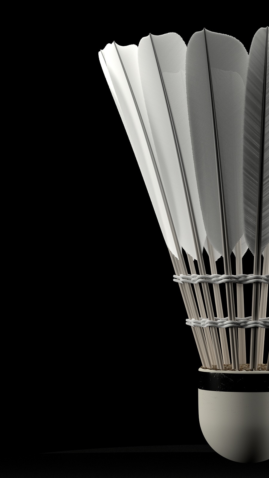 球迷们纷纷 球迷们纷纷