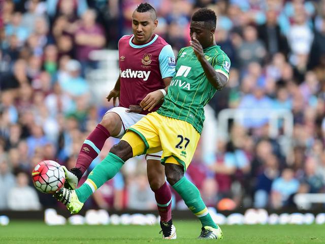 日益成熟的 日益成熟的